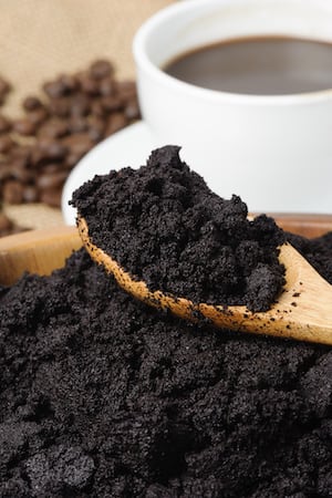 Used Coffee Grounds drink