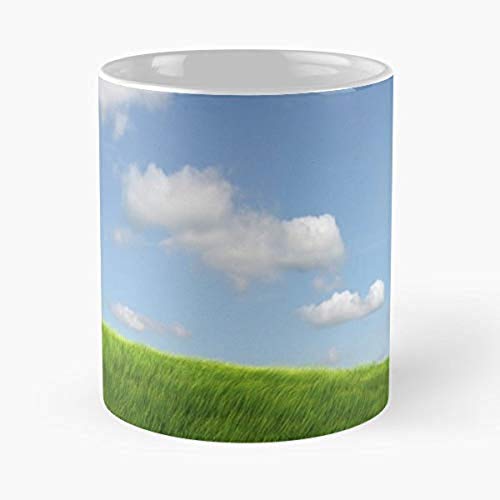 Ben Jerry Mount Coffee/tea Ceramic Mug 11 Oz H3E09T