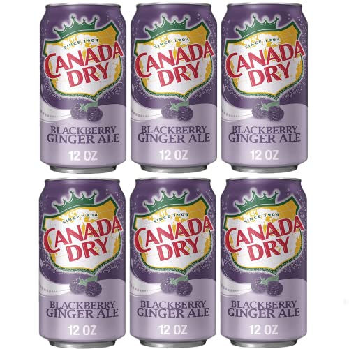 Canada Dry Blackberry Ginger Ale, 12oz Cans, Pack of 6